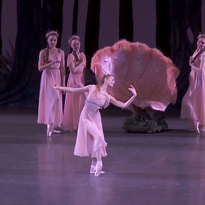 74 reactions | Feuding fairy kingdoms, a bumbling, bewitched donkey, and a dizzying tale of mistaken identities. Balanchine’s adaptation of Shakespeare’s cherished comedy A Midsummer Night’s Dream opens MAY 28 at NYCB. Secure your seats today. | New York City Ballet | Facebook