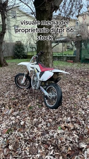 esaltati vi aspetto😘😘#fyp #italkit #am6 #neiperte #2stroke