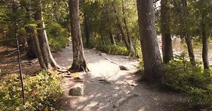 Jordan Pond walking path, Acadia National Park, Maine, USA, slow motion