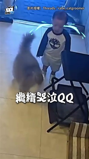 娃發燒不舒服大哭...貓保母"溫柔輕拍+親親"成功安撫超暖心 #shorts