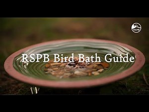 RSPB Bird Bath Guide