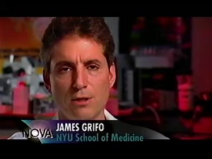 18 Ways to Make a Baby