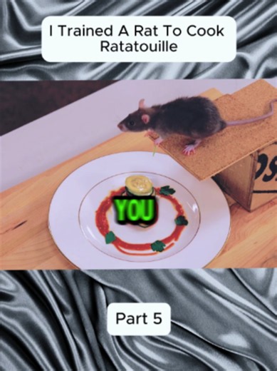 Train a Rat to Cook Ratatouille: Funny Pet Trick Guide