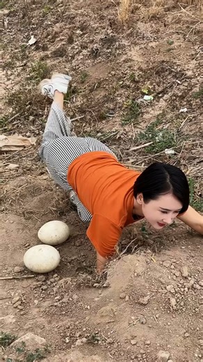 Rolling into snack time like a pro. #rabbit #plush #fatty #mood | Adorable Fat Rabbit
