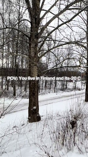Exploring Winter in Finland: Is It Really Cold?