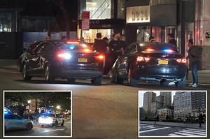 Three teens busted for Central Park mugging as robberies in greenspace surge: cops