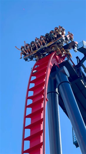 POV: You’re hanging over the edge of Sheikras 200ft Drop 😱 #sheikra #scary #rollercoaster #usa