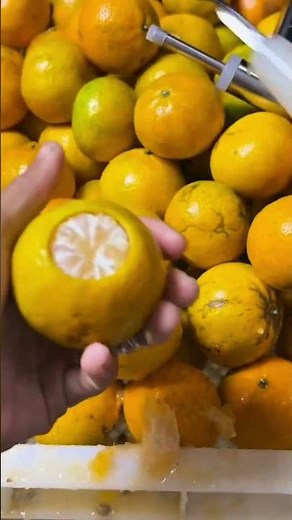 This tool extracts orange flesh easily without peeling saving time and keeping the fruit intact