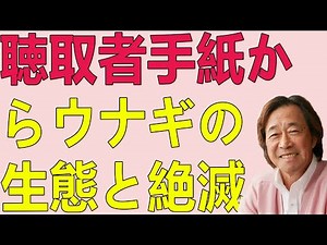 武田鉄矢今朝の三枚おろし 聴取者手紙からウナギの生態と絶滅危惧の話、コロナ禍の曖昧さ、そして森林の驚くべき世界を紹介