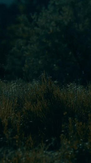 Mavado - Don't Wanna Be A Memory #mavado #memory #dancehall #grave #dancehallquotez #oldschool #dancehallmusic