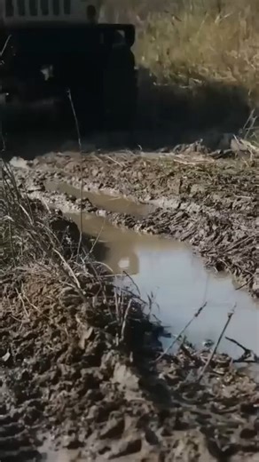 38K views · 379 reactions | Xuyên Không Thành Thiếu Bang Chủ Cái Bang Và Cái Kết #phimxuyenkhong #xuyenkhong #reviewphim #tomtatphim #reviewphimxuyenkhong #phimtrungquoc #bandareview #bandareviewphim #vietsub | Banda Review Phim | Facebook