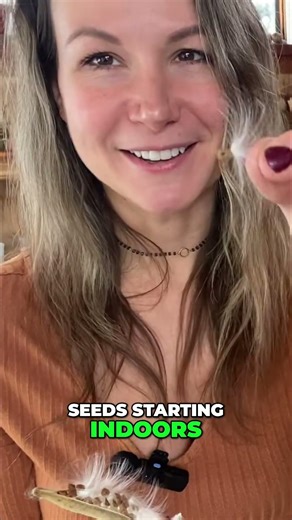 Try this Tip When Planting Butterfly Weed Seeds #nativegarden #milkweed #seedstarting