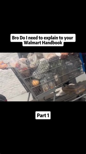 #fyp #foryou #foryoupage#tiltok #viral | bro do i need to explain the walmart handbook
