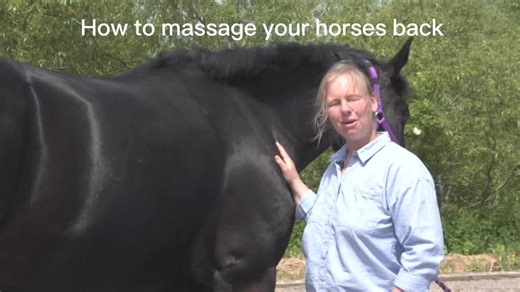 Discover the power of touch!  Our online horse massage course empowers you to become your equine's personal masseuse. From tension release to increased flexibility, unlock the benefits of therapeutic touch. Enroll today and nurture your horse's vitality!  Get 20% off ‘Head to Hoof: An Introduction to Horse Massage’ when you subscribe to The Horse Physio’s free newsletter, link in bio! #EquineTherapy #OnlineLearning #HealthyHorse | The Horse Physio | Facebook