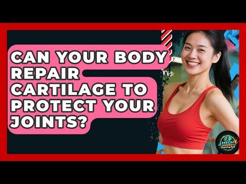Can Your Body Repair Cartilage To Protect Your Joints? - High Energy Training Hub