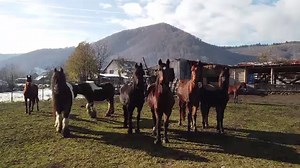 Cele mai spectaculoase zone rurale din România pe care merită să le vizitezi. Cât costă o noapte de cazare - Știrile ProTV