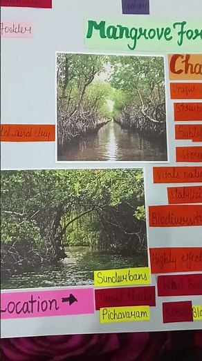 tlm for grade 9 geography types of vegetation #classroomenvironment #teachingresource #lessonplans