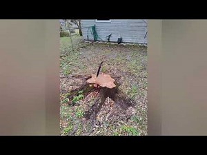 Condor Blue River Machete!!