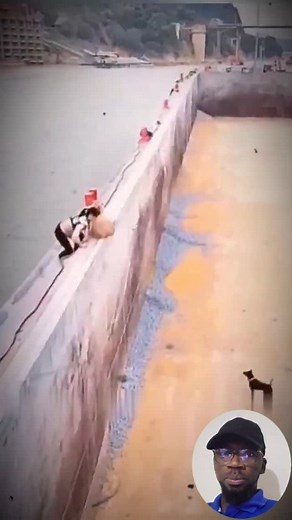 Brave Woman Rescues Trapped Dog | Petsux