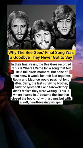 The Bee Gees’ Last Song Sounded Like a Goodbye — But They Didn’t Know It Was the End