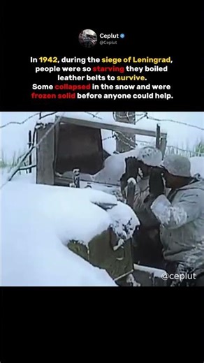 Could You Survive This Brutal Winter?