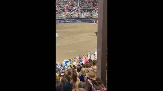Matador Injured by Bull at Rodeo
