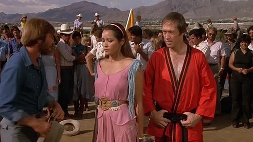 Lone Wolf McQuade (1983)