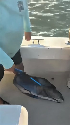 Just Cast and conquer! #catchoftheday #letsgofishing | Galveston Fishing Charters - Just Cast Charters