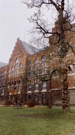 An’s life & neuroscience on TikTok