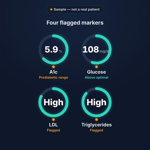 How to read your blood test results in plain English | E-Labus