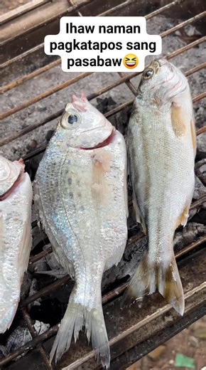 Tama gid ang mga followers ta Nami gid man ihawon ang mini nga ISDA 🐟🤤🥳 #sariwangisda #kaPAPS #pagkaingpinoy | Rudy Mondala