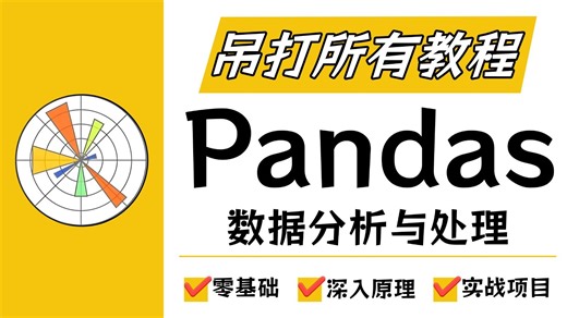 【全44集】Pandas数据分析零基础入门到精通教程，适合小白学习！【Pandas库】【Pandas数据分析】【Pandas数据处理】