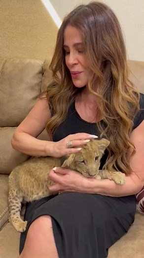 Birthday Surprise: Baby Lioness Carole Samaha Tribute by Monia Makhlouf