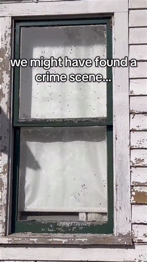 єѕмαє мσση on Instagram: "We found an abandoned house infested with flies so we decided to investigate it 🤢🪰 should we call the cops?"