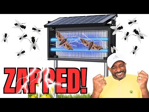 Ultimate Outdoor Mosquito Zapper? Qualirey Solar Bug Zapper Review & Test (3000V Power!)