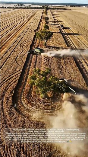 Drone View of Corn Harvest – Precision Farming in Motion!