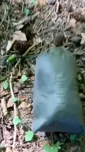 Helikon Waterproof Poncho Review 🌲 | Bushcraft Tested in the Forest