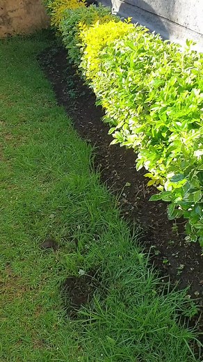 ganja farmer😂😂