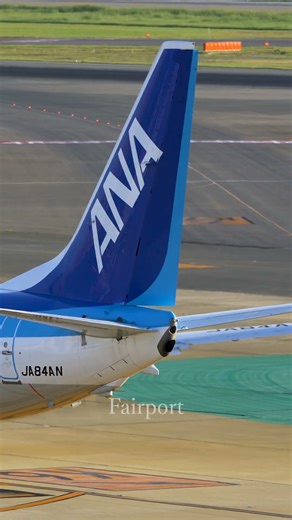 ANA 737 flight control check. #福岡空港 #飛行機動画 #aviation #ana #b737