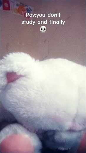 Danganronpa trend [Dangan ronpa]