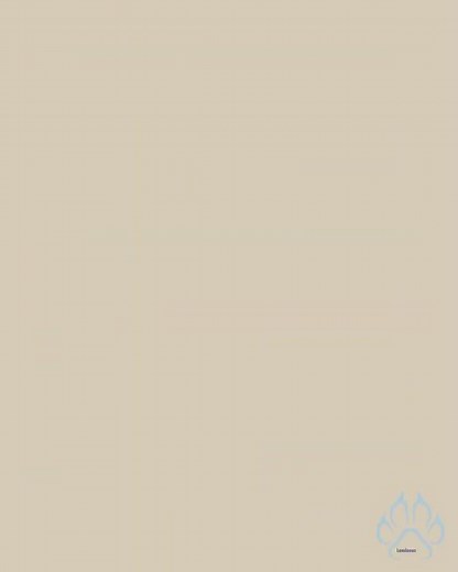 👙 Brazilian-Style Micro Thong Bikini – Sexy Halter Two-Piece Swimsuit for Women | Minimal Coverag...