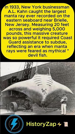🌊 When a "Devil Fish" Terrorized the Coast: The Giant Manta of 1933