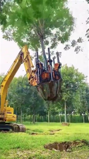 Uprooting trees with a custom-designed excavator arm? So easy!