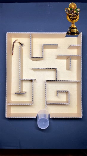 Epic Maze Race: Bombardier Beetle vs Giant Centipede!