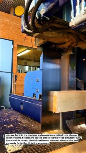 Modern Multi-Blade Wood Cutting Machine – Produces Neat & Precise Timber Beams!