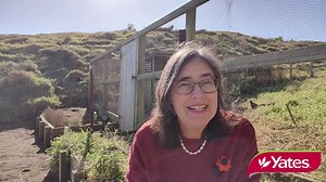 How to deal with a weedy vegetable garden! 🌱🥦🥕🧅🌱 | Yates NZ