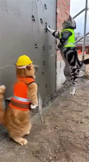 Funny Working Cats 🐱👷‍♂️ | Cats Doing Human Jobs | Cute Cat Cartoon