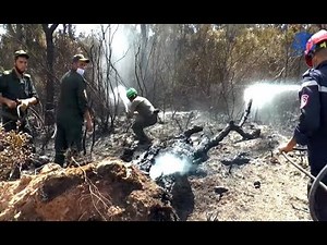 Feux de forêt : pourquoi l'Algérie est le seul pays méditerranéen qui a enterré beaucoup de morts ?