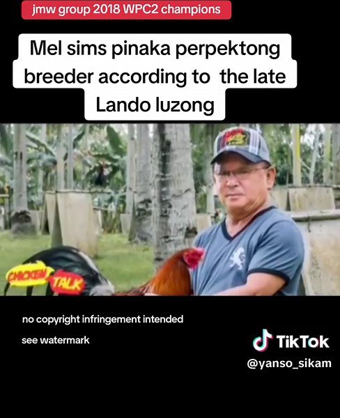 Mel Sims: The Perfect Gamefowl Breeder - JMW Group Champions 2018