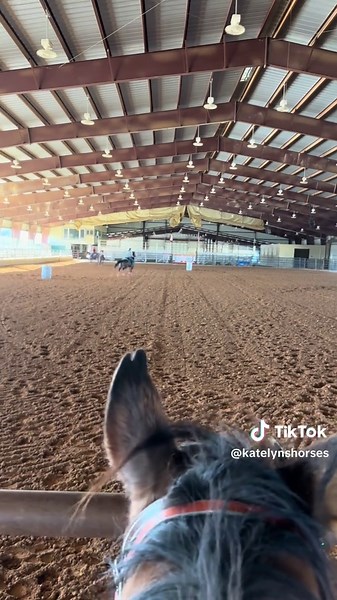 Exciting Progress with RC PYC BACK IN BAY